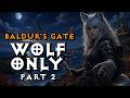 Baldurs Gate - Wolf Only - Part 2 Finale