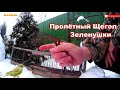 Ловля певчих птиц 2022. Пролетный щегол. Зеленушки. Catching songbirds.