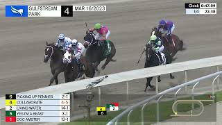 Vidéo de la course PMU STARTER ALLOWANCE