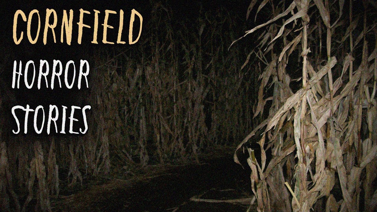 3 Terrifying TRUE Cornfield Horror Stories