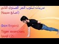 تدريبات اسلوب النمر المستوي الثاني الاصابع الحديدية       