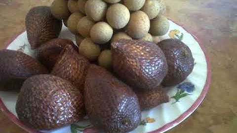 Dian Piesesha - Keroncong Kerinduan