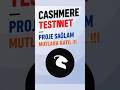 3 Yıllık Cashmere Labs Testnet Macerası ve Devamı! #airdrop #testnet #cryptoairdrop #cashmerelabs
