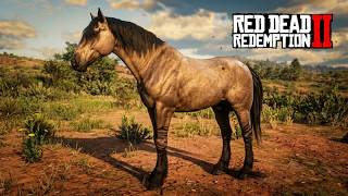 Em busca do MUSTANGUE TIGRADO - Precisamos dele na nossa fazenda - Red Dead Redemption 2