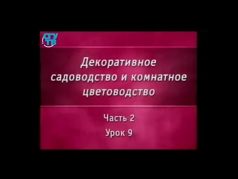 Цветы. Урок 2.9. Папоротники. Часть 2