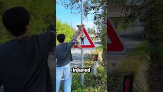 Brave Warning Signs