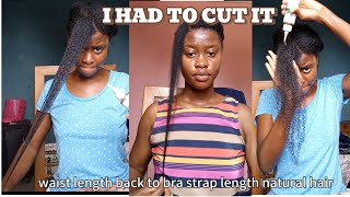 Why I Cut 7 INCHES OFF My Hair|The Big Chop I Wasn’t Planning To Do| Back To Bra-strap length 