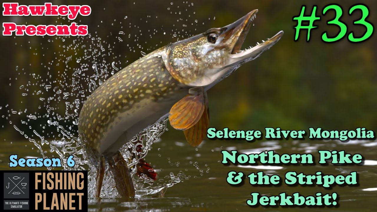 Fishing 33 S6 Selenge River Mongolia Northern Pike & the