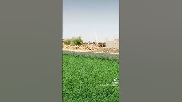 تلاوة خاشعة من الشيخ محمود أنور الشحات