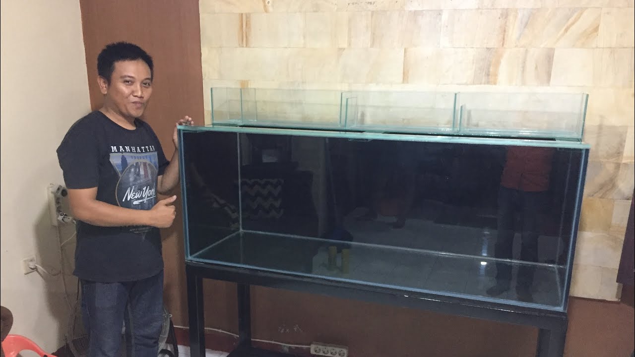Posisi Filter atas pada aquarium YouTube
