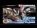 GSX250R Slip-on R-77S サイクロン カーボンエンド マフラー音