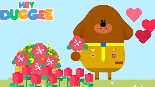 Hey Duggee Best Of Badges Hey Duggee Games Kids Cartoon Gameplay