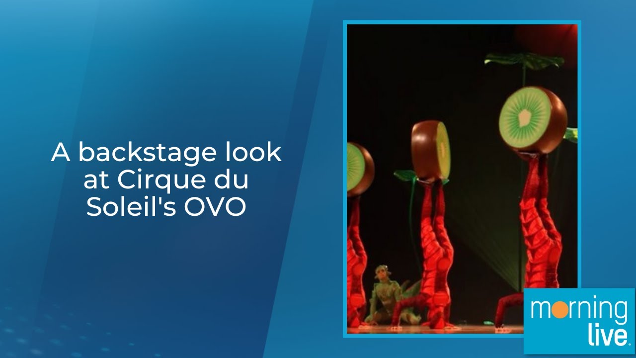 A backstage look at Cirque du Soleil's OVO