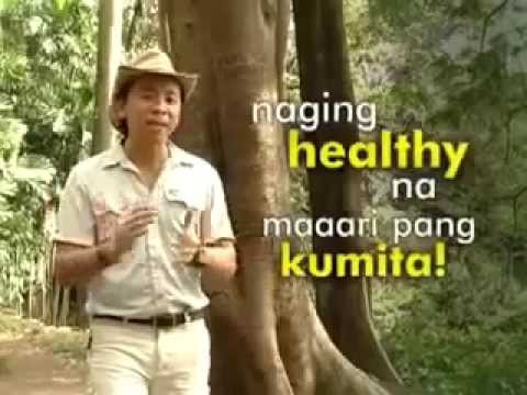 sante barley benefit for