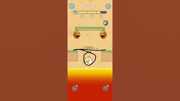 Doge rescue : Draw to save level 80 || #shortvideo #shorts