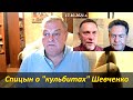 Спицын о «кульбитах» Шевченко