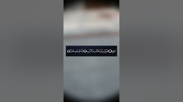 تلاوة سورة الطارق للقارئ/سهيل الأركاني نفع الله به