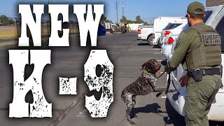 Famous "He just doesn't bite you." Net Worth
