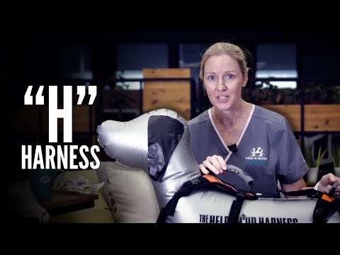 "H" - Harness (輔助帶)