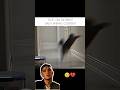 #youtube #youtubeshorts #shortfeed #ytshorts #viralvideo #shorts