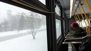 OC Transpo: Orion VII NG 5005 (Part: 1 of 3)