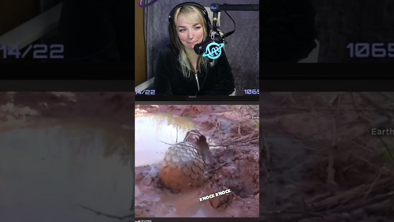 Taylien gets tricked by a video