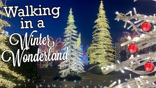 Winter on Broad | Christmas in Philly | #shorts