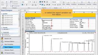 Chromeleon CDS: Find report formula