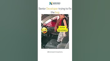 Senior Developer trying to fix the bug