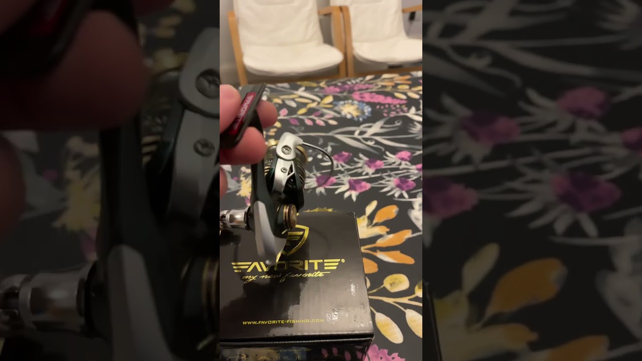 Favorite Arena 1500s