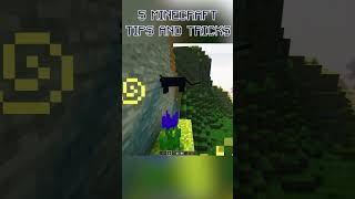 #Minecraft Tips and Tricks for Your Game!