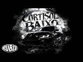 CORTISOL BAIXO Slowed DJ V12 