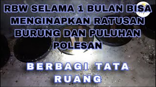 RBW SELAMA 1 BULAN BISA MENGINAPKAN RATUSAN BURUNG DAN PULUHAN POLESAN || Part 2
