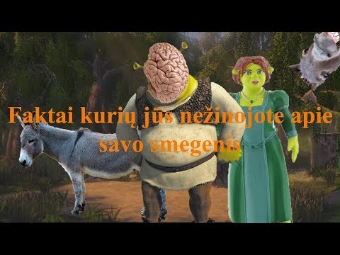 Video: Faktai, Kurių Nežinojote Apie Alaviją