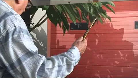 Ronald Bowen: An American Painter in France
