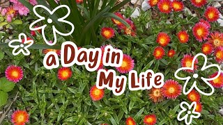 Day Off Vlog | Hobby Lobby | Burlington | Haul