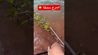 poisson #peche #meme #maroc #drole #fail #beach #طبيعة #travel