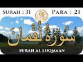 31surah al luqman   para21   visual quran with urdu translation