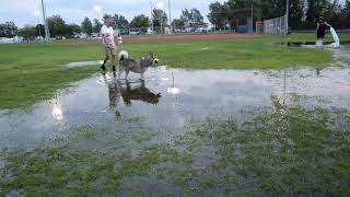 Puddle Jump Extreme Urban Skim Boarding