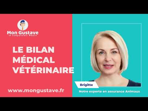 Tout savoir sur le bilan médical vétérinaire