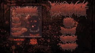 UNRECOGNIZABLE - 5 PIECE CHICKEN SLAM COMBO [OFFICIAL SPLIT STREAM] (2026) SW EXCLUSIVE