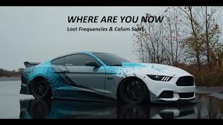 | MUSTANG 5.0 VIDEO | Lost Frequencies & Calum Scott -WHERE ARE YOU NOW (Lyrics)