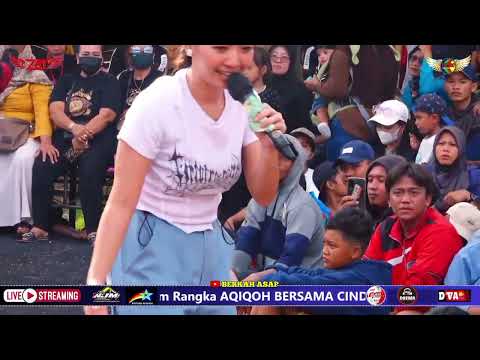 RENA MOVIES - CAMELIA - BVC MUSIC