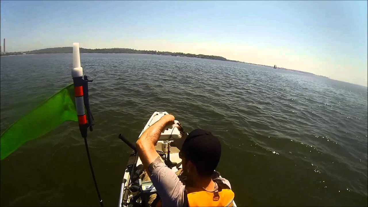Kayak Fishing, Gulp Fluke Jiggin YouTube