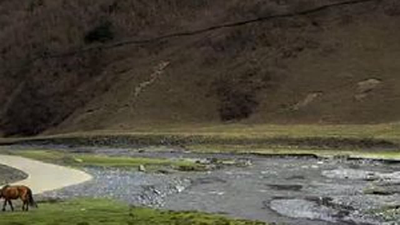 川西旅游地推荐|姑弄村，溪流，草甸，牛马成群#创作灵感 #川西美景 #身体和灵魂总有一个在路上 #保持热爱奔赴山海 #甘孜旅游推荐