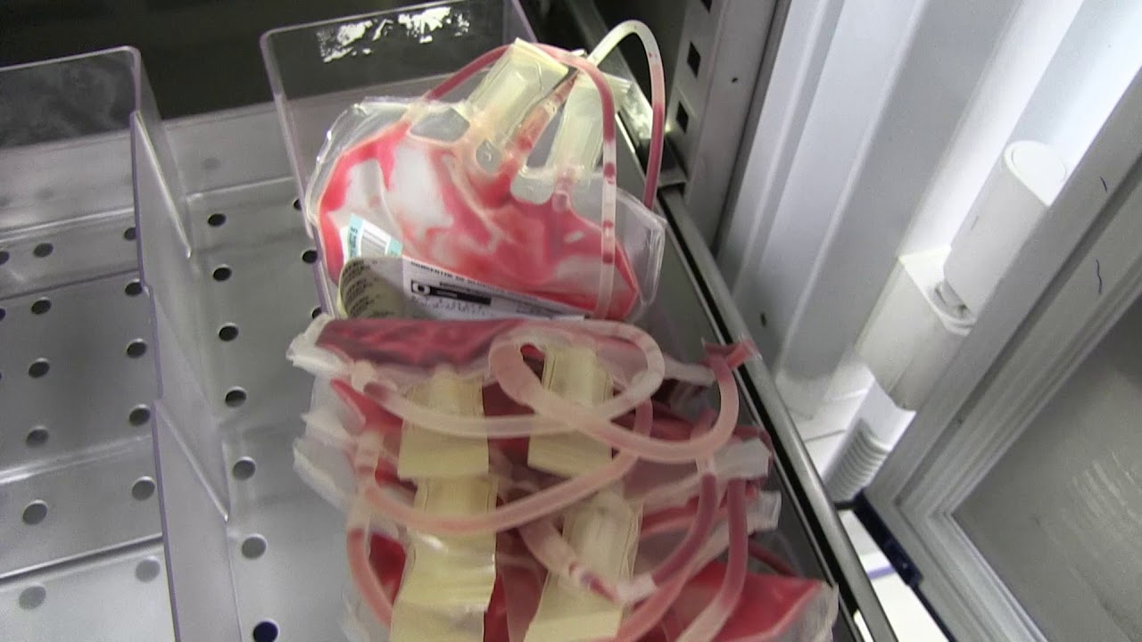 Le labo EFS d'Immuno-Hémato / Délivrance des produits sanguins, à Aix-en-Provence