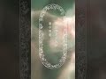 店頭販売を記念して、パンテーン ファインフレグランスコレクションイメージムービーを公開!