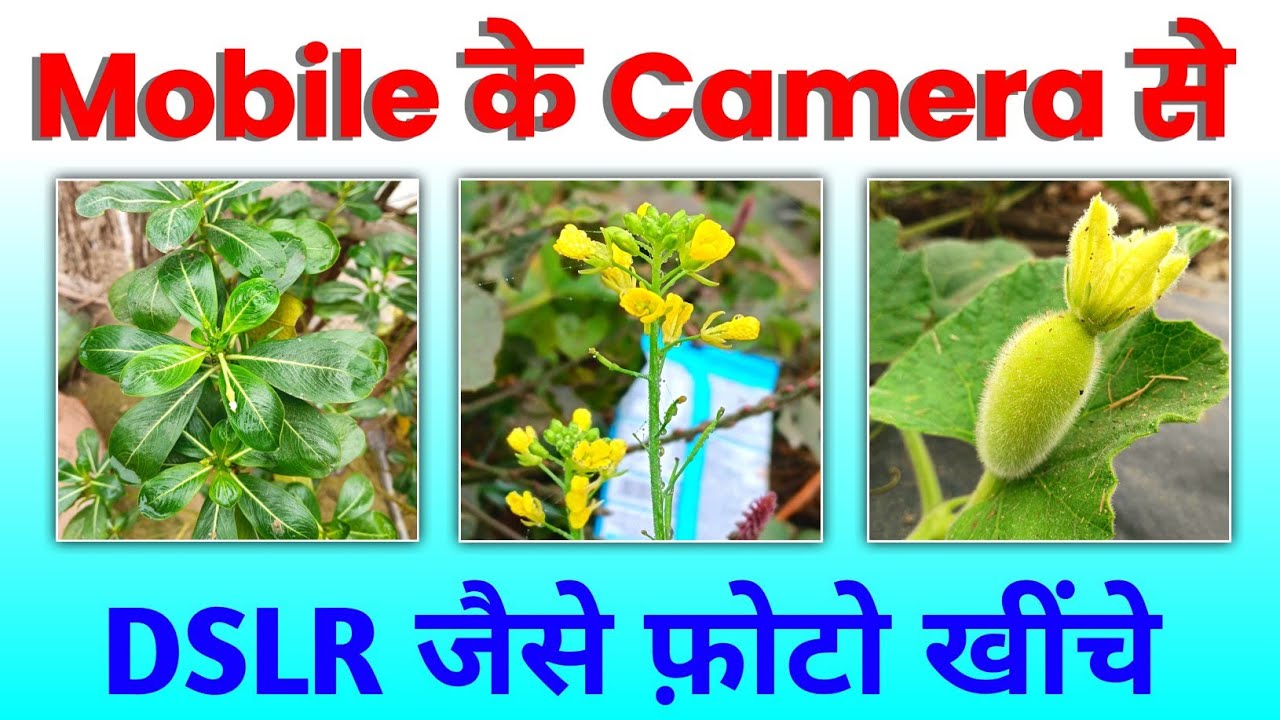 Mobile Ke Camera Se DSLR Photo Khiche | How To Click Dslr Photo In ...