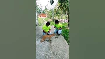 vfx|vfx effect|visual effects| blender vfx|vfx green screen|vfxgame#vfxjadu,#vfxbreakdowns