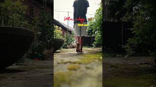 mini vlog 🦋 with me... #minivlog #vlog #reels #bengalvlogger #bengali #viral #youtubeshorts